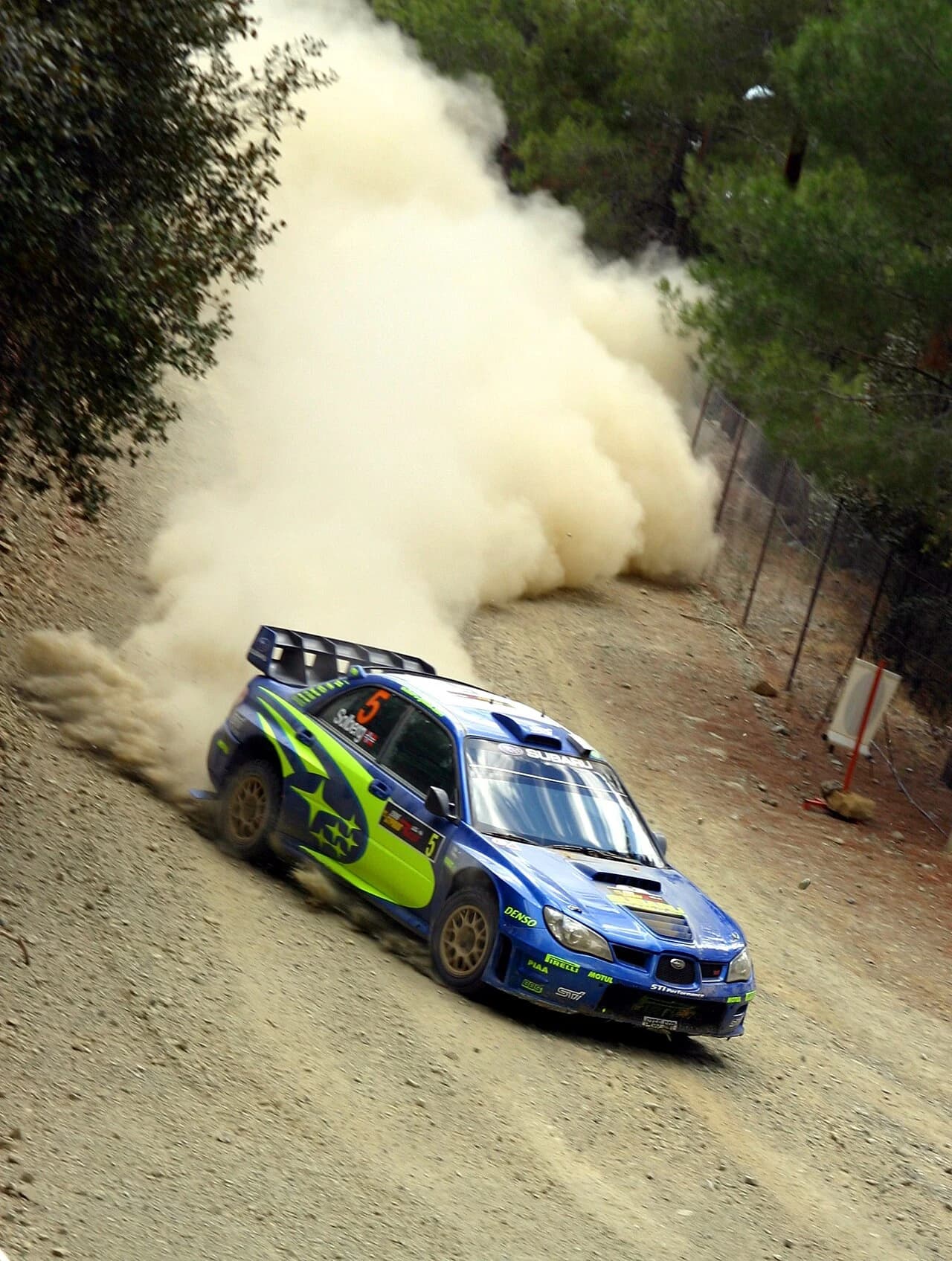How Rally Drivers See the Road Differently